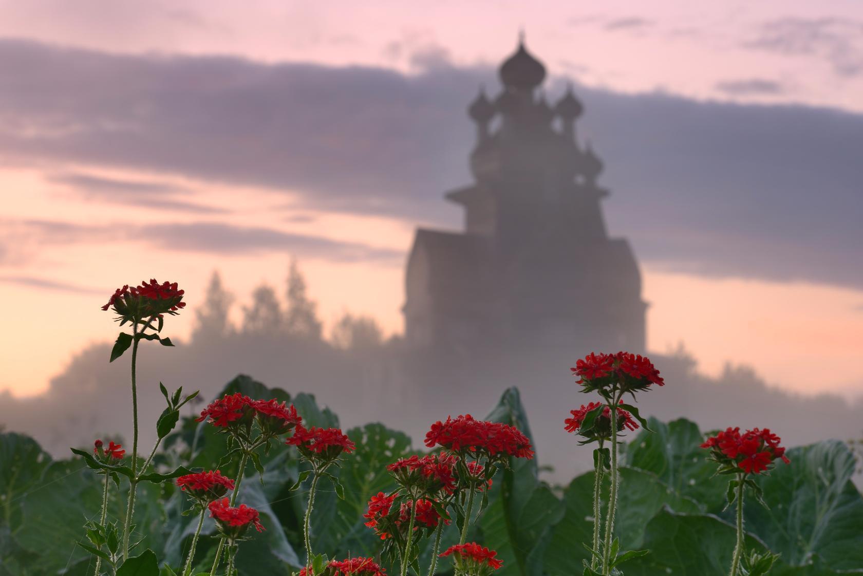 Когда бы Жить, не Выживать!