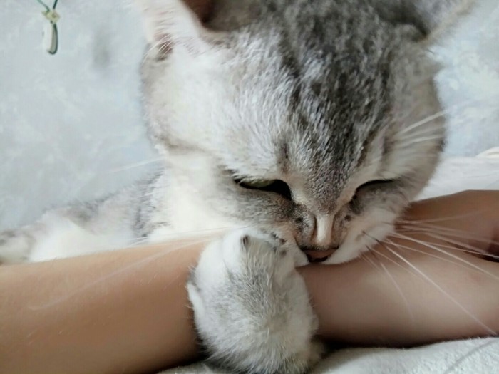 Маленький пустяк