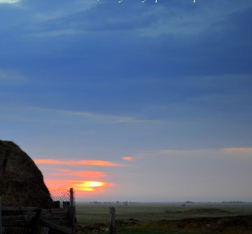 Жизнь пронеслась