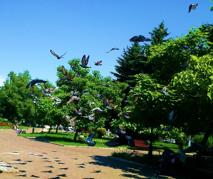 Вечерняя заря (Раиса Уртаева) / Стихи.ру