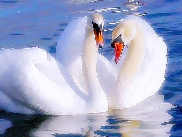 Kрылья сыновьям!