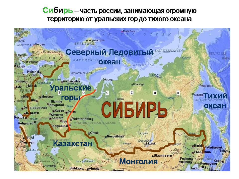 Сибирь, родина моя!