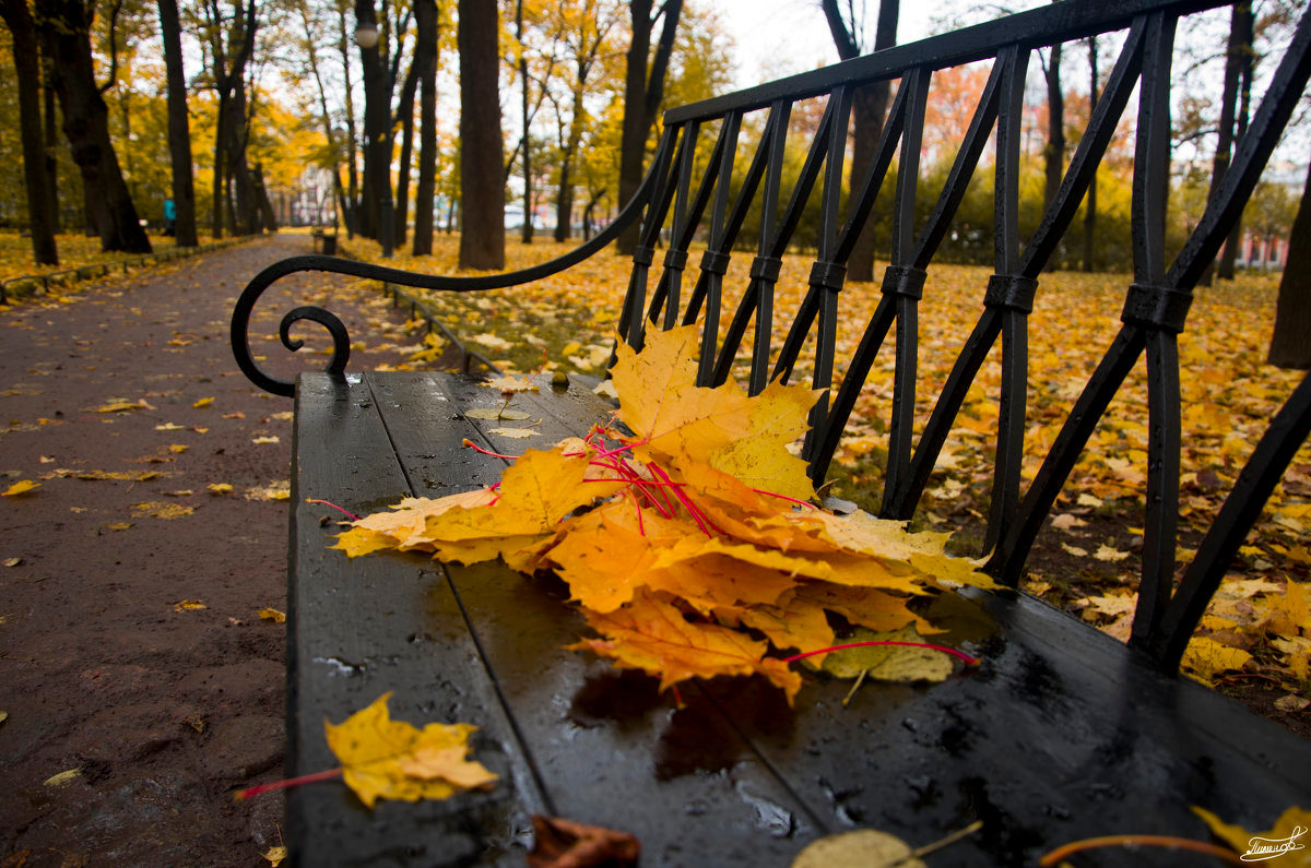 Осенние листья песня. Осенняя грусть. Осеннее ненастье. Осенние листья кружат. Осень непогода.
