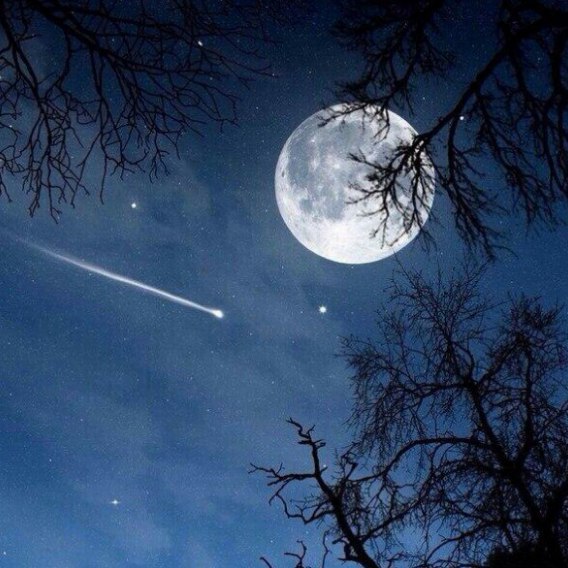 Падение звезды...