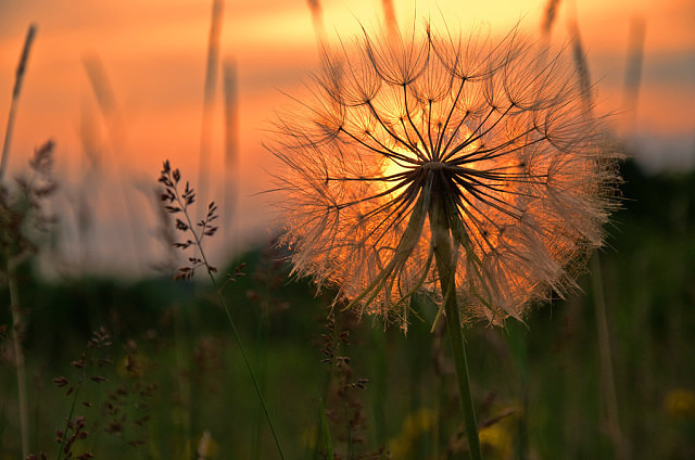 Не просто так, даётся - жизнь!