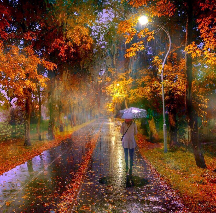 Осень... Вечер...