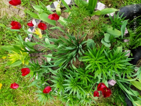 Поздравление на 90 лет