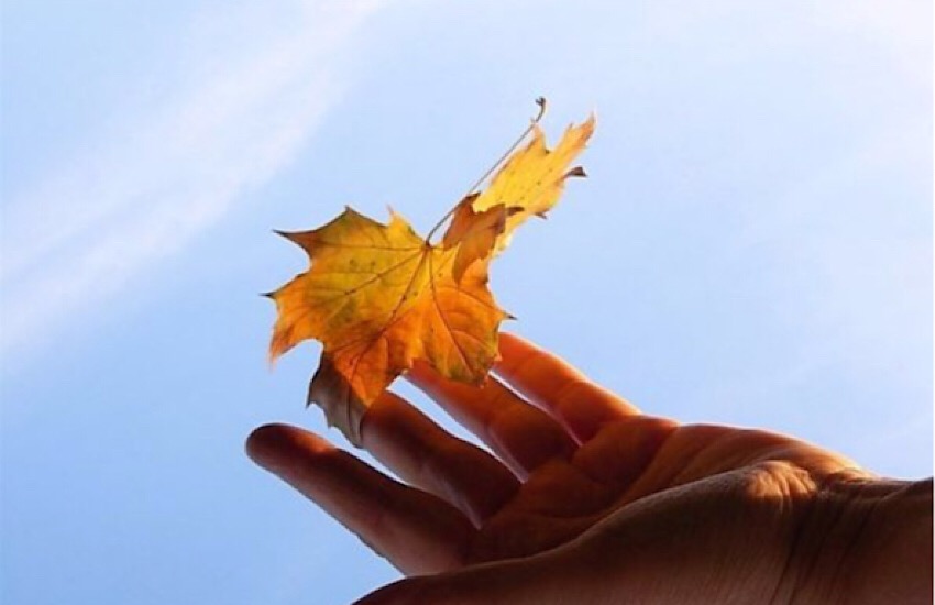 В воздухе витает снова осень