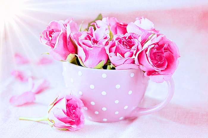 Вам, маленькие дивы - от женщины дождливой...