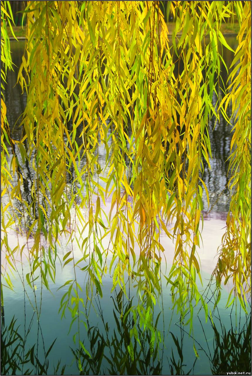 Посыпает август...