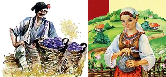 Невеста для сына