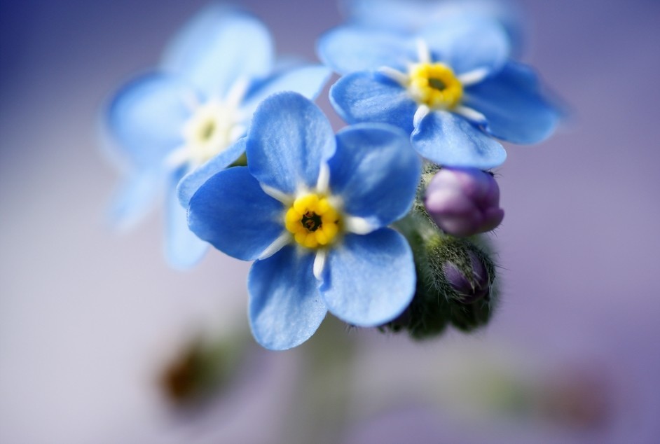 Господь не тушит свет!