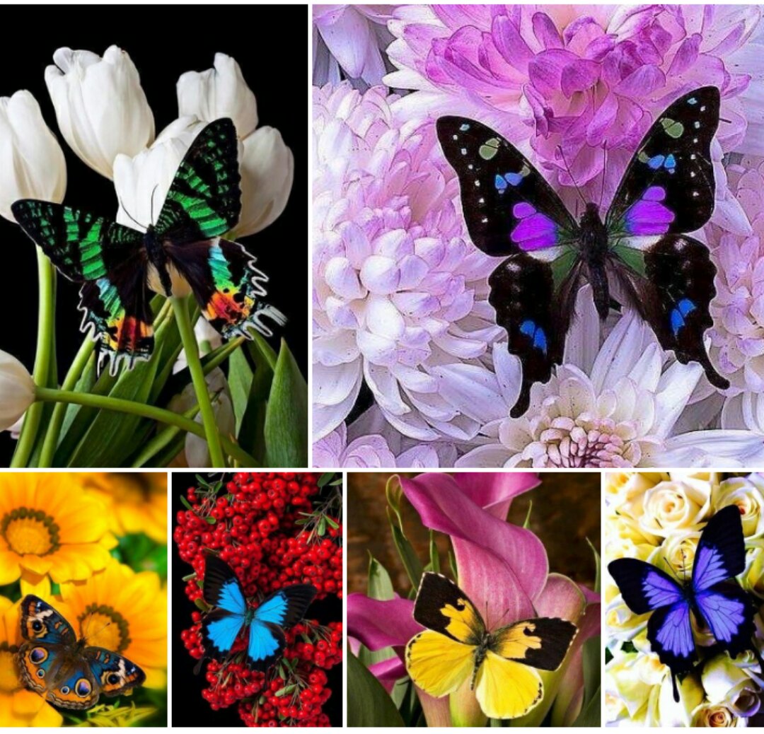 Краски природы