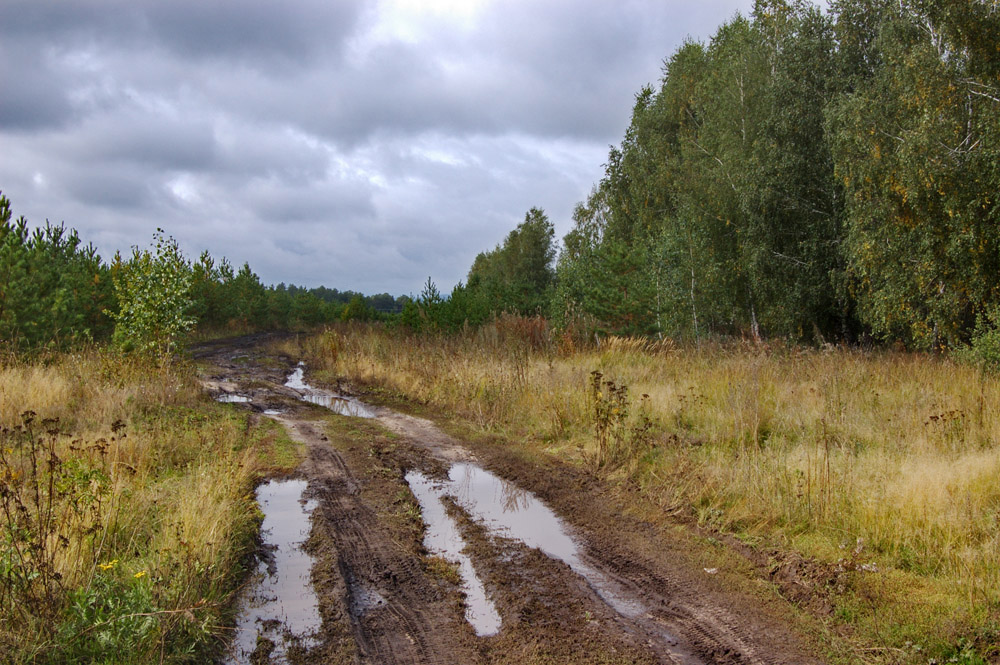 У околицы грязи. Грязная дорога. Грязь на дороге. Русские дороги. Осень слякоть дороги.