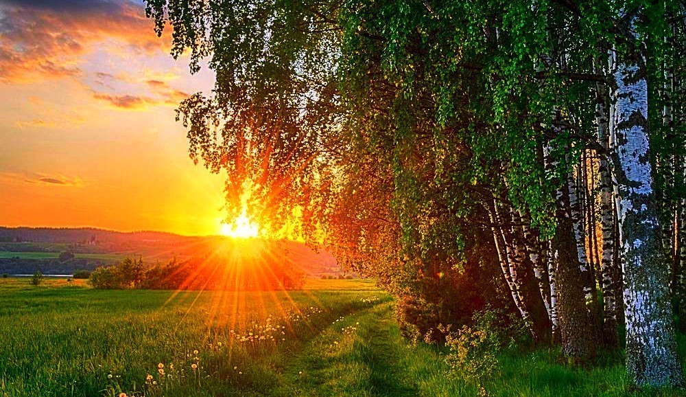 Умирать - не надо, люди...