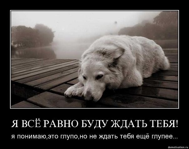 Буду ждать тебя всегда картинки