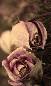 Я тебя не верну, знаю