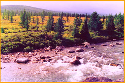 Я не знаю, что будет завтра!?