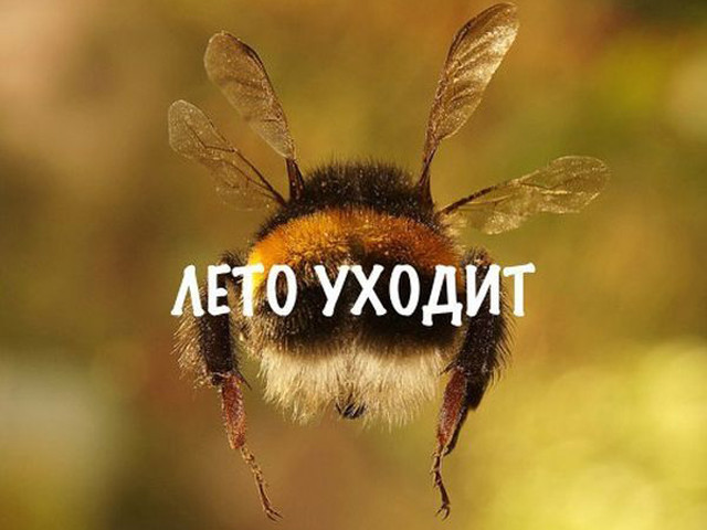 Лето скоротечное