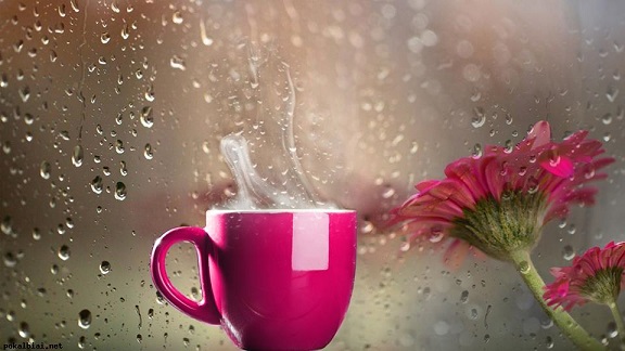 Солнца ещё не остыл поцелуй...