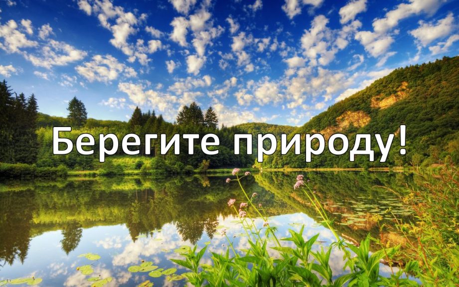 Гость - не должен быть свиньёй!