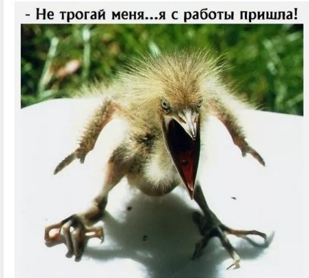 Жена пришла с работы