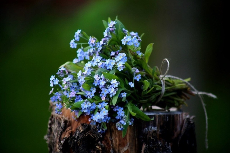 Оставлю память о себе...