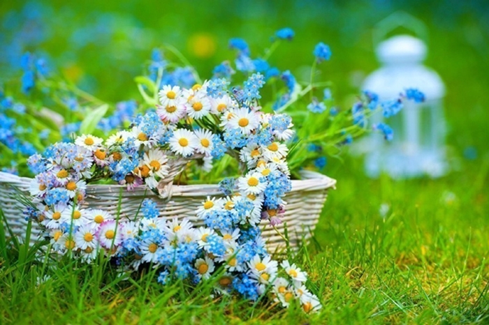 Хотя б - на полдня...