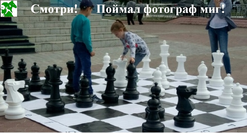 Смотри! Поймал фотограф миг!