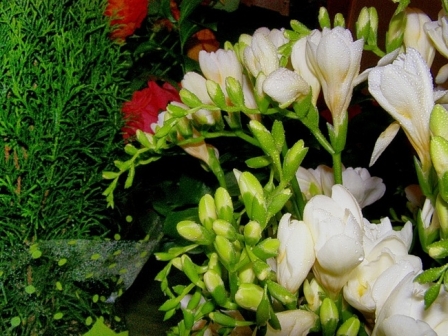 Дело к осени, дело тонкое