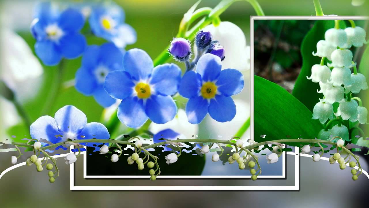 Зря, старались...