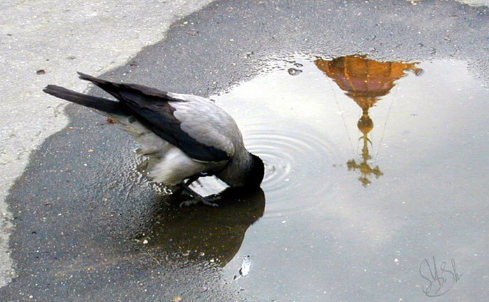 Смирение и гордыня