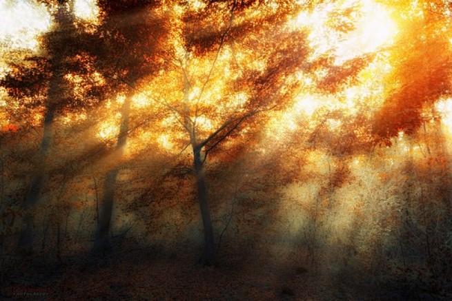 Скоро Осень!!!