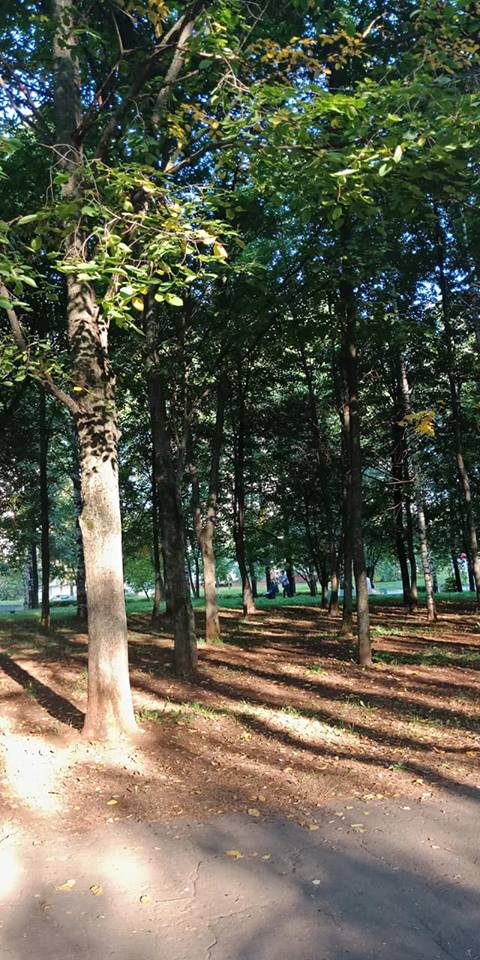 Чем длиннее тени, тем короче день