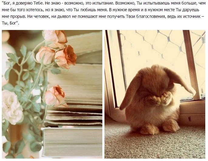 нее картинки я доверяю только тебе сбор