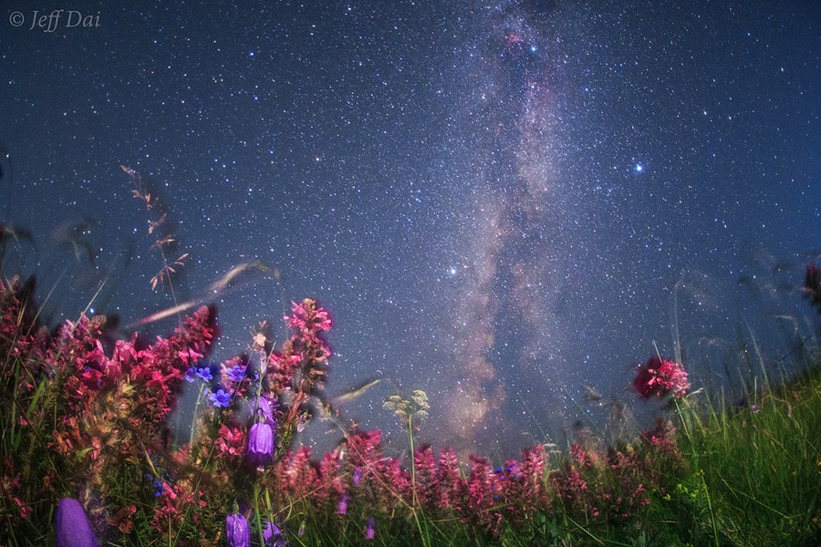 Упавшие Звезды Фото