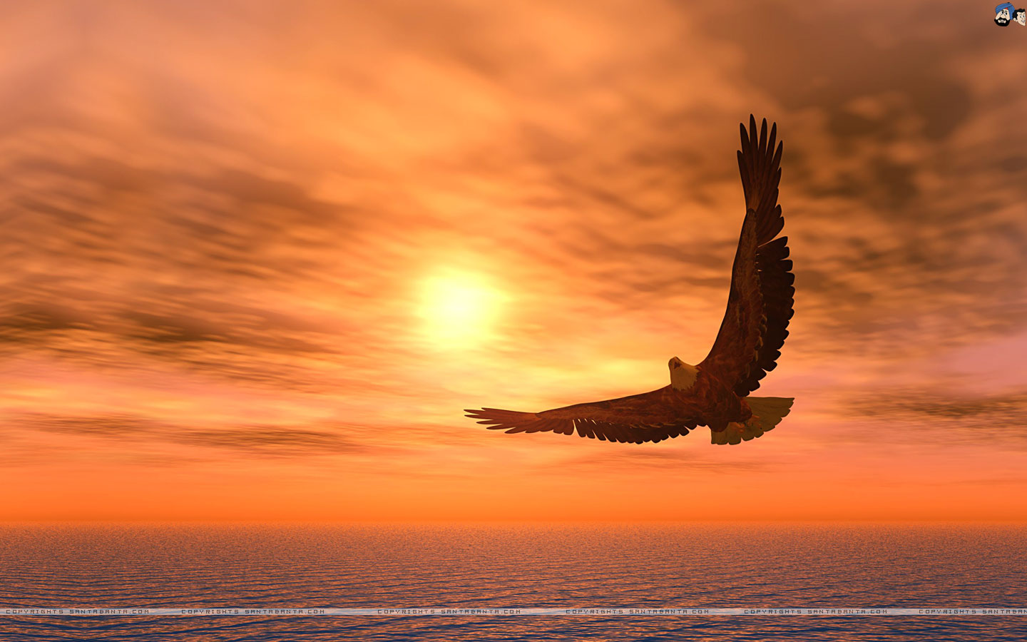 Хреново стало...