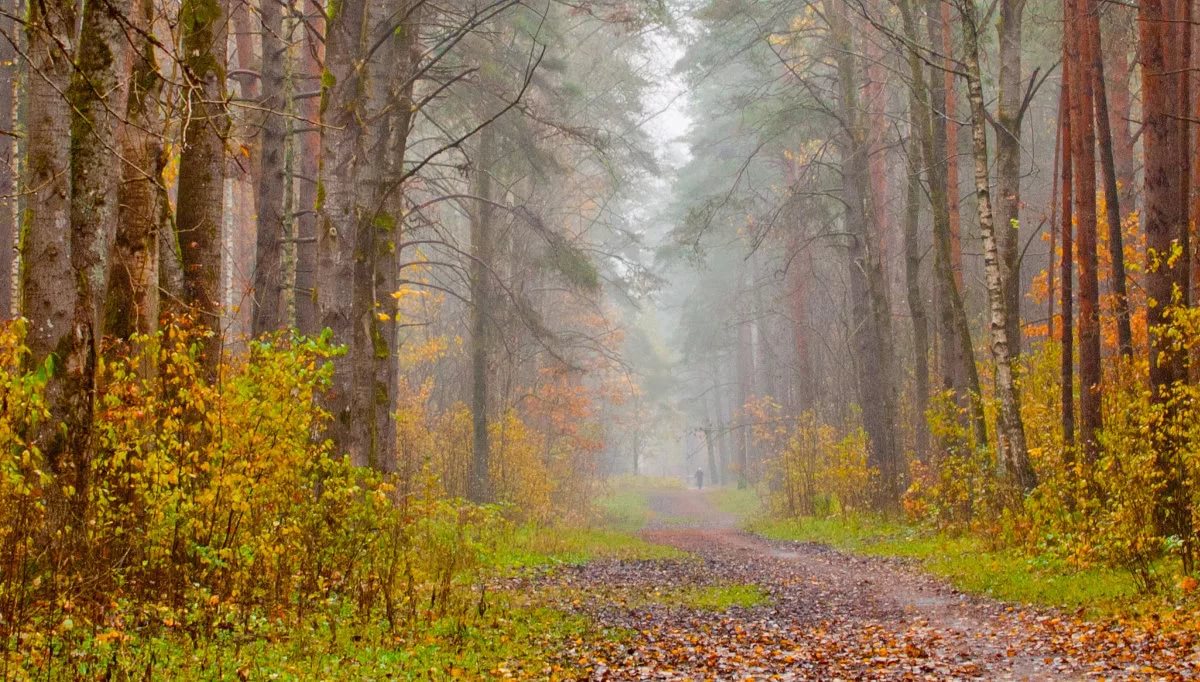 Молиться под тёплым дождём...