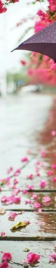 без притязаний