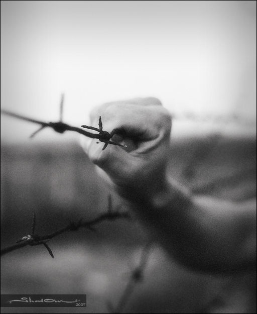 Картинки душевной боли и пустоты