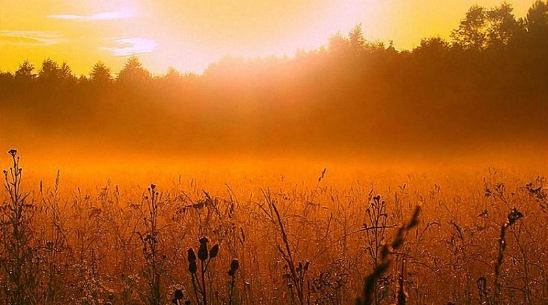 Благодарю, Господь