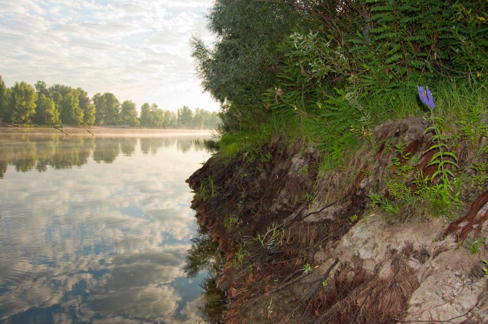 На крутых берегах рек