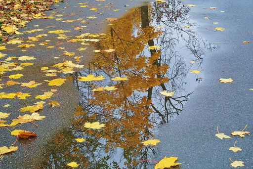 Осень - чудная пора! (Ирина Зуенкова) / Стихи.ру