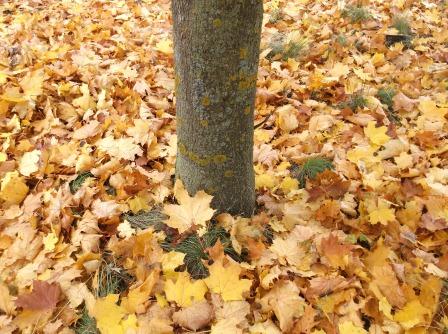 Кончается лето