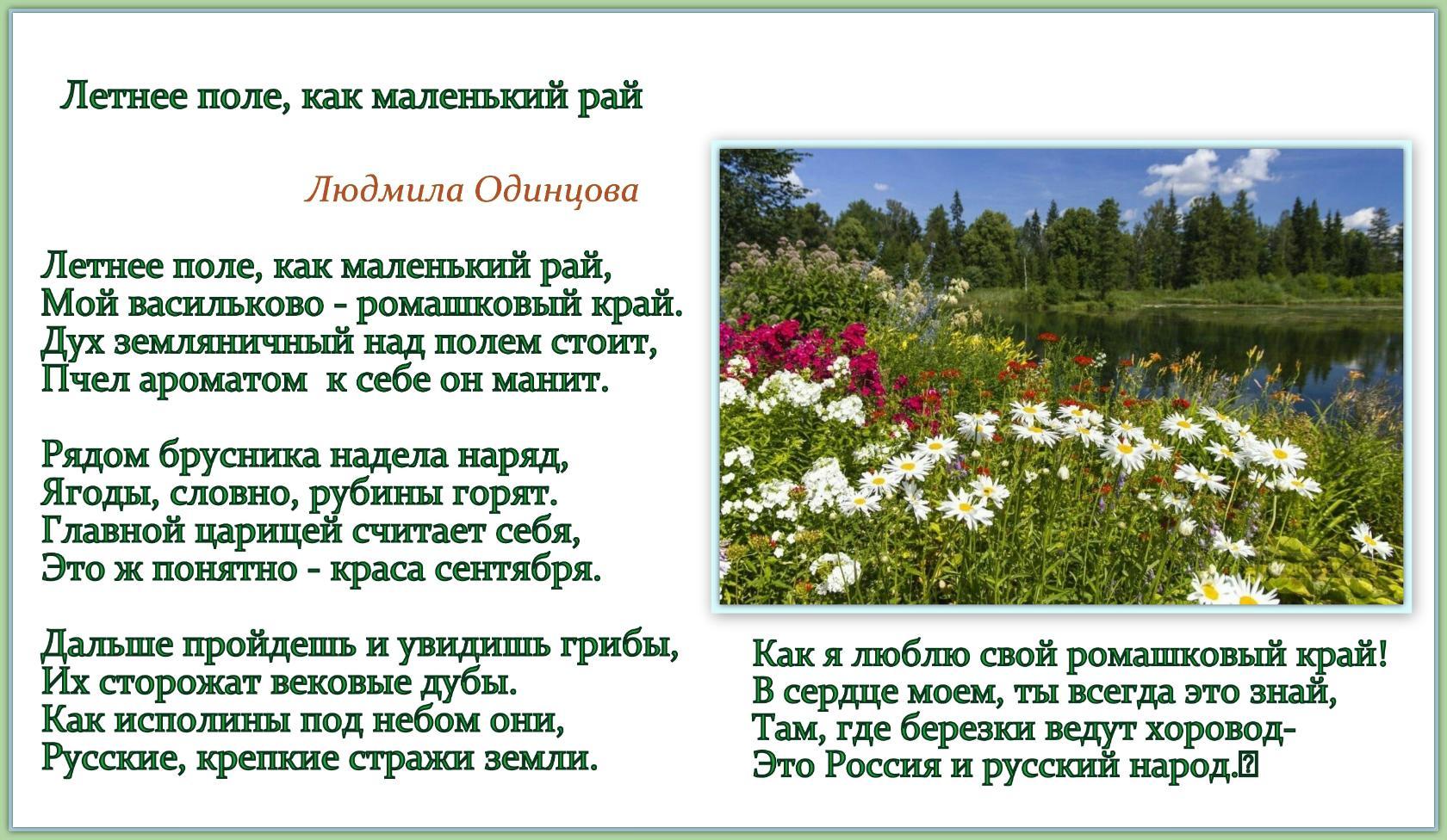 Там где березки. Стих про летнее поле. Стихотворение про Одинцову. Мой маленький рай стихи. Стих про Одинцово.