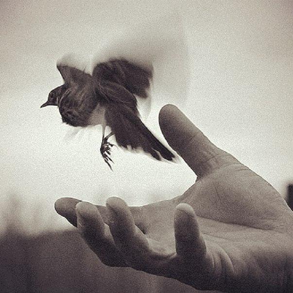 Если с Богом