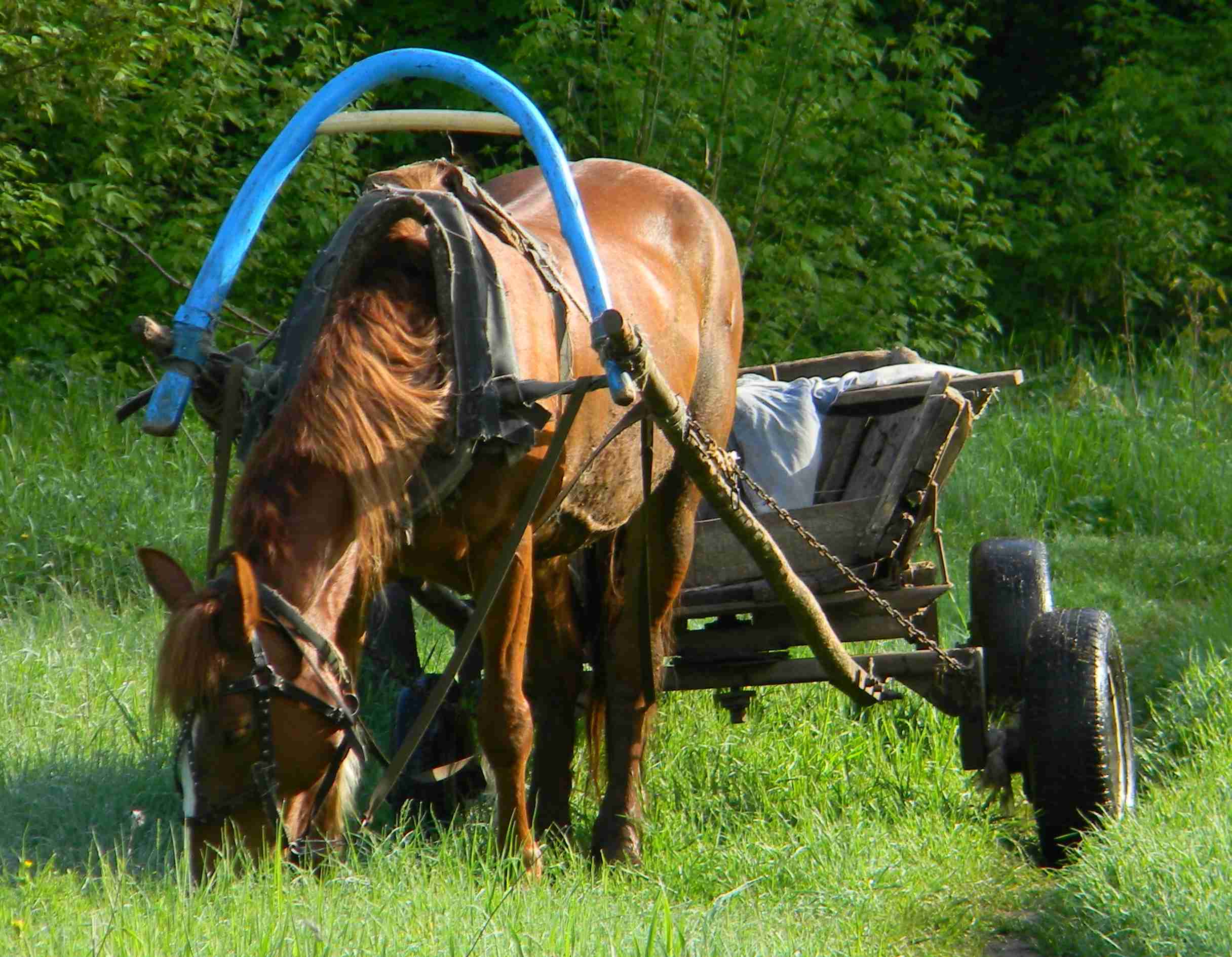 Ехала телега