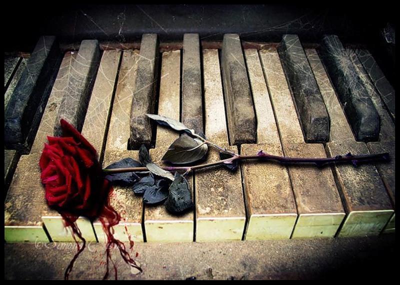 Розы и смерть