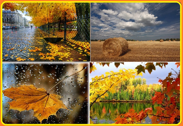 Осенние зарисовки