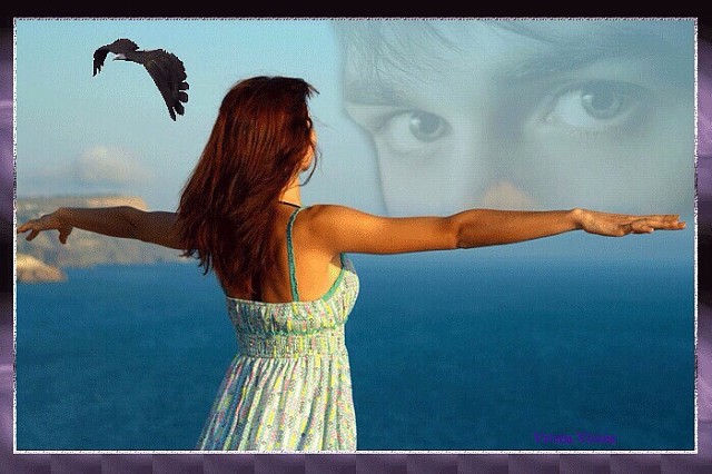 Раненая птица